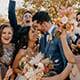Wedding Party